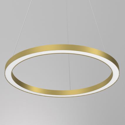 Suspension filaire LED GALAXIA LED/26W/230V doré