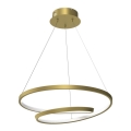 Suspension filaire LED LUCERO LED/48W/230V doré