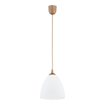 Suspension filaire LERA 1xE27/15W/230V doré