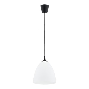 Suspension filaire LERA 1xE27/15W/230V noir
