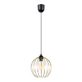 Suspension filaire MATT 1xE27/60W/230V noir/doré