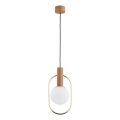 Suspension filaire MODI 1xE14/10W/230V doré/beige