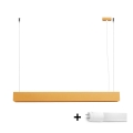 Suspension filaire SPARK 1xG13/8,5W/230V doré