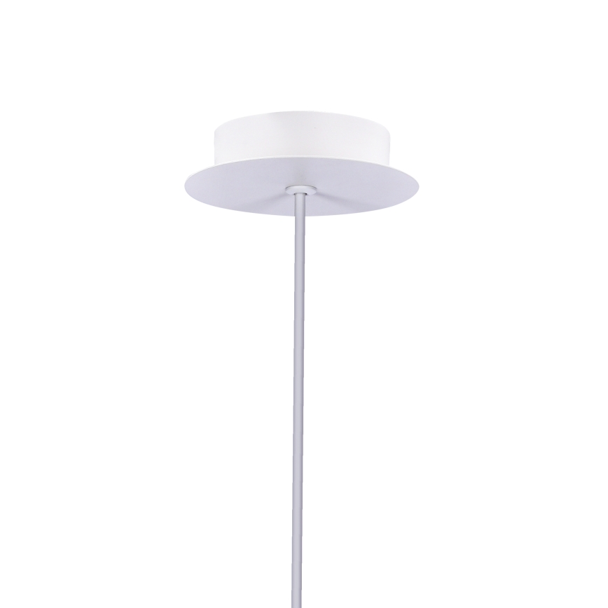 Suspension LED avec fil MODENA LED/5W/230V