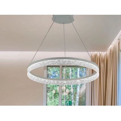 Suspension LED dimmable sur câble ALIANZ LED/45W/230V 3000-6000K Ø 60 cm + télécommande