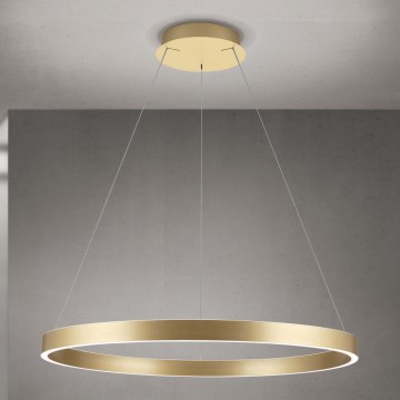 Suspension LED dimmable sur câble KOLK LED/80W/230V 2700/3000/4000K diam. 80 cm dorée