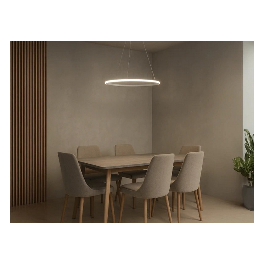 Suspension LED dimmable sur câble LED/32W/230V 3000-6500K Ø 60 cm + télécommande