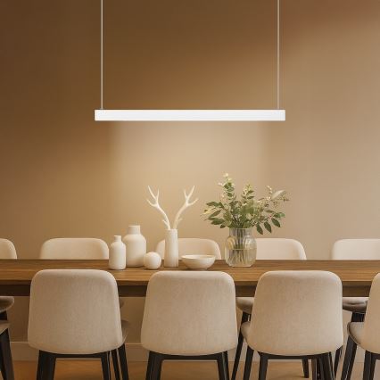 Suspension LED sur câble LINEA LED/36W/230V 3000/4000/5700K CRI 90 blanc