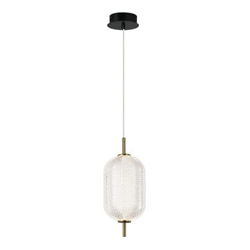 Suspension LED sur câble PELLUCID LED/11W/230V, finition dorée/verre transparent