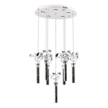 Suspension LED sur câble PIGEON 7xLED/6W/230V 6500K chromé brillant