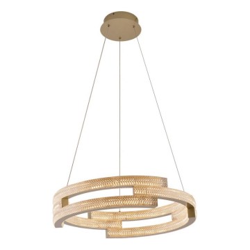 Suspension LED sur câble TARJA LED/36W/230V 3000/4000/6000K Ø 60 cm dorée