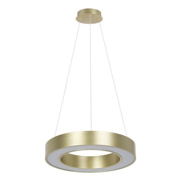Suspension LED sur câble UNION, 40 W, 230 V, 3000/4000/6500 K, Ø 40 cm, finition dorée