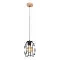 Suspension sur câble 1xE27/60W/230V noir