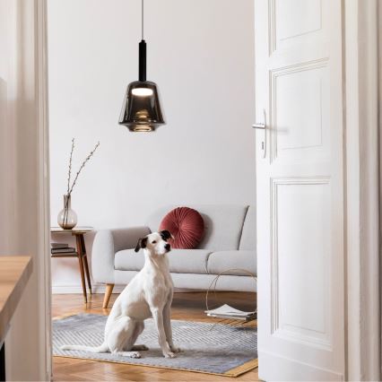 Suspension sur câble BUENO 1xGX53/9W/230V Ø 18 cm, noir fumé