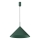 Suspension sur câble CAPITAL 1xGX53/15W/230V, Ø 46 cm, vert