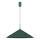 Suspension sur câble CAPITAL 1xGX53/15W/230V Ø 60 cm vert