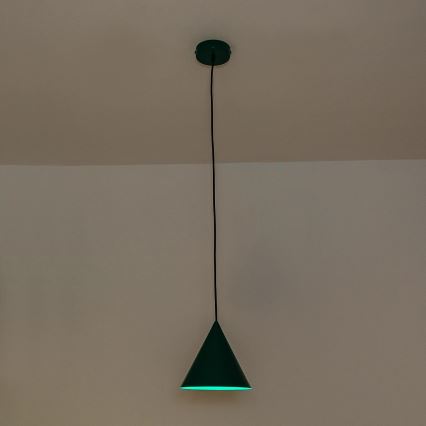 Suspension sur câble ETNA II 1xE27/15W/230V Ø 18,5 cm, vert