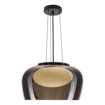 Suspension sur câble INSIEME 1xGX53/10W/230V Ø 38 cm noir fumé