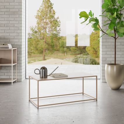 Table basse SARON 100 x 50 cm, gris