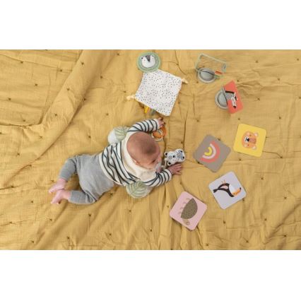 Taf Toys - Boîte cadeau HELLO BABY