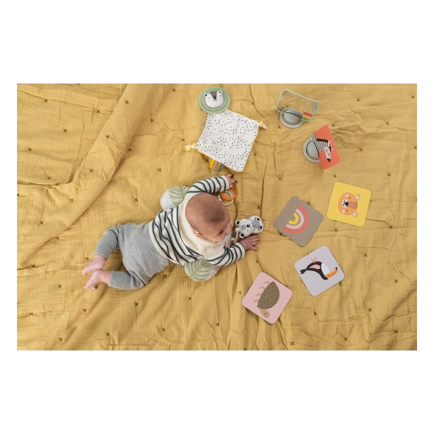 Taf Toys - Boîte cadeau HELLO BABY