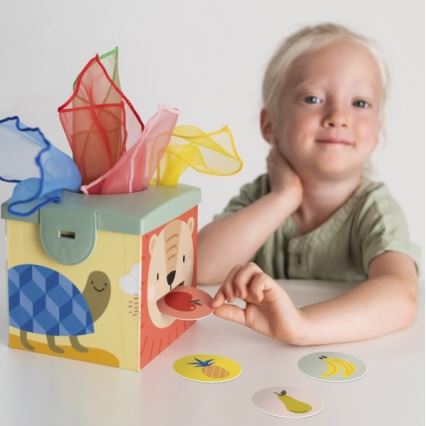 Taf Toys - Boîte de jeu interactive MAGIC BOX