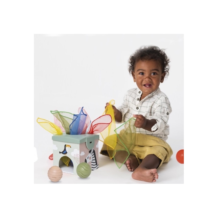 Taf Toys - Boîte de jeu interactive MAGIC BOX