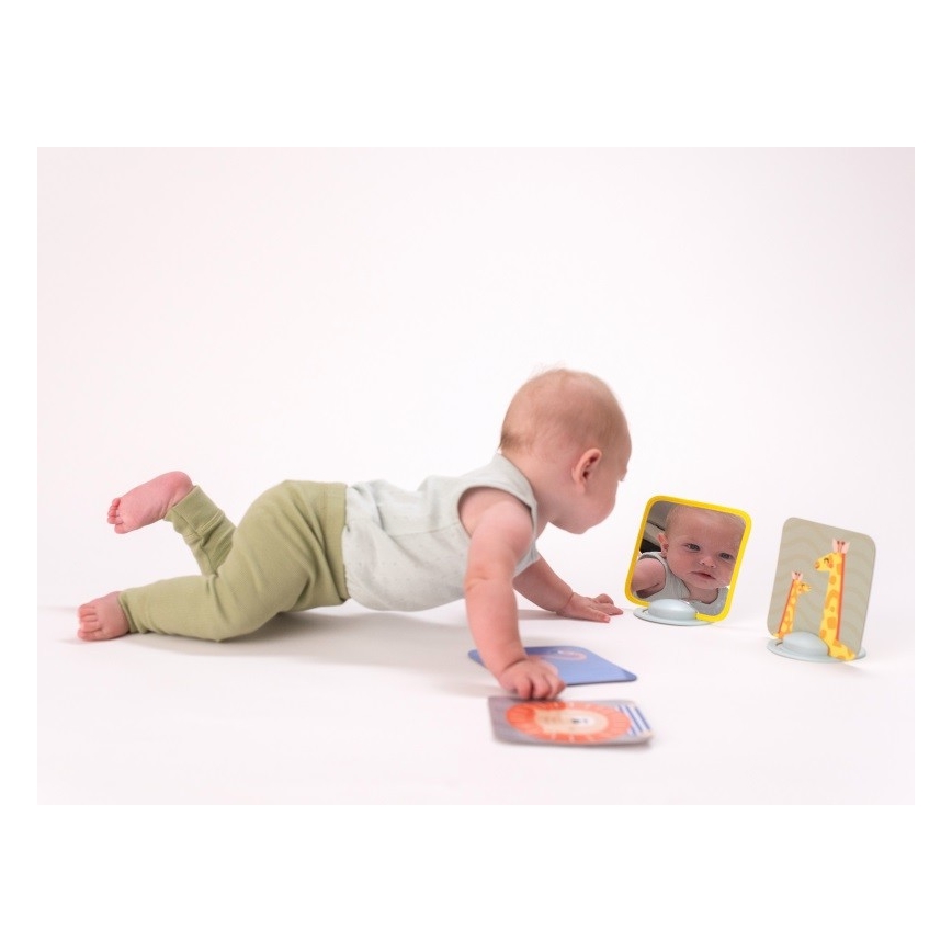 Taf Toys - Buiktijdkaarten 18 st