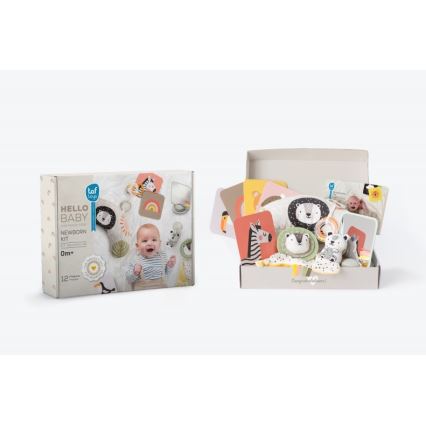 Taf Toys - Geschenkdoos HELLO BABY