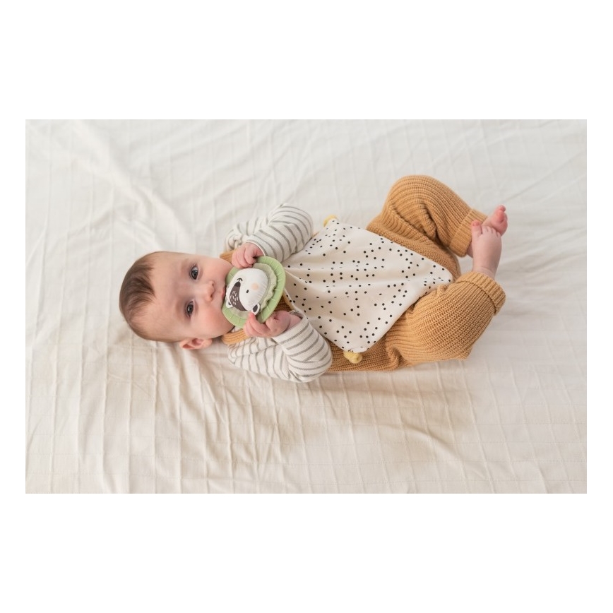 Taf Toys - Geschenkdoos HELLO BABY
