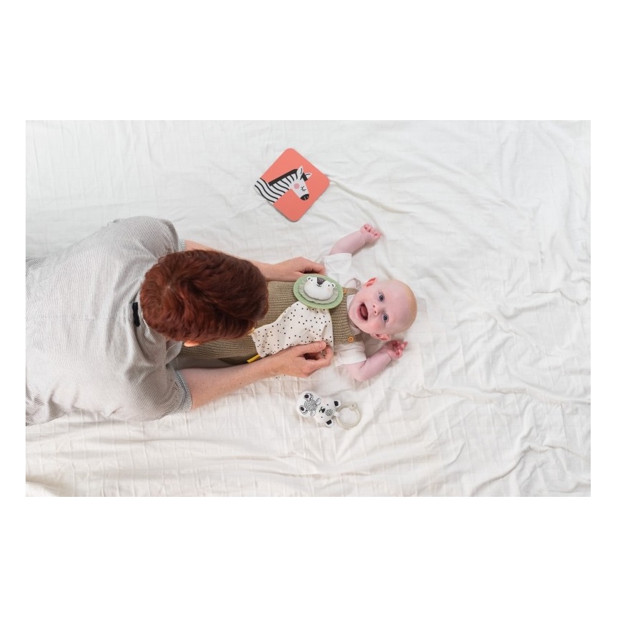 Taf Toys - Geschenkdoos HELLO BABY
