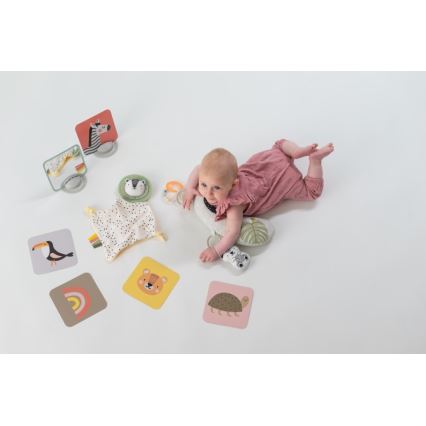 Taf Toys - Geschenkdoos HELLO BABY