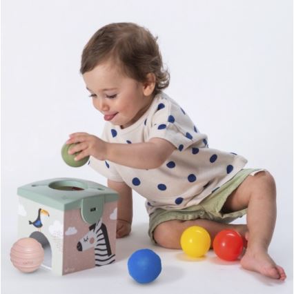 Taf Toys - Interactieve speeldoos MAGIC BOX