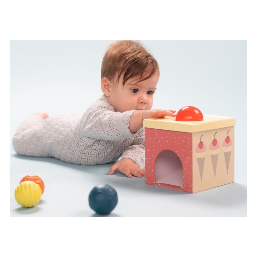 Taf Toys - Jeu interactif Pôle Nord