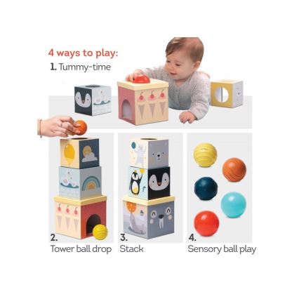 Taf Toys - Jeu interactif Pôle Nord