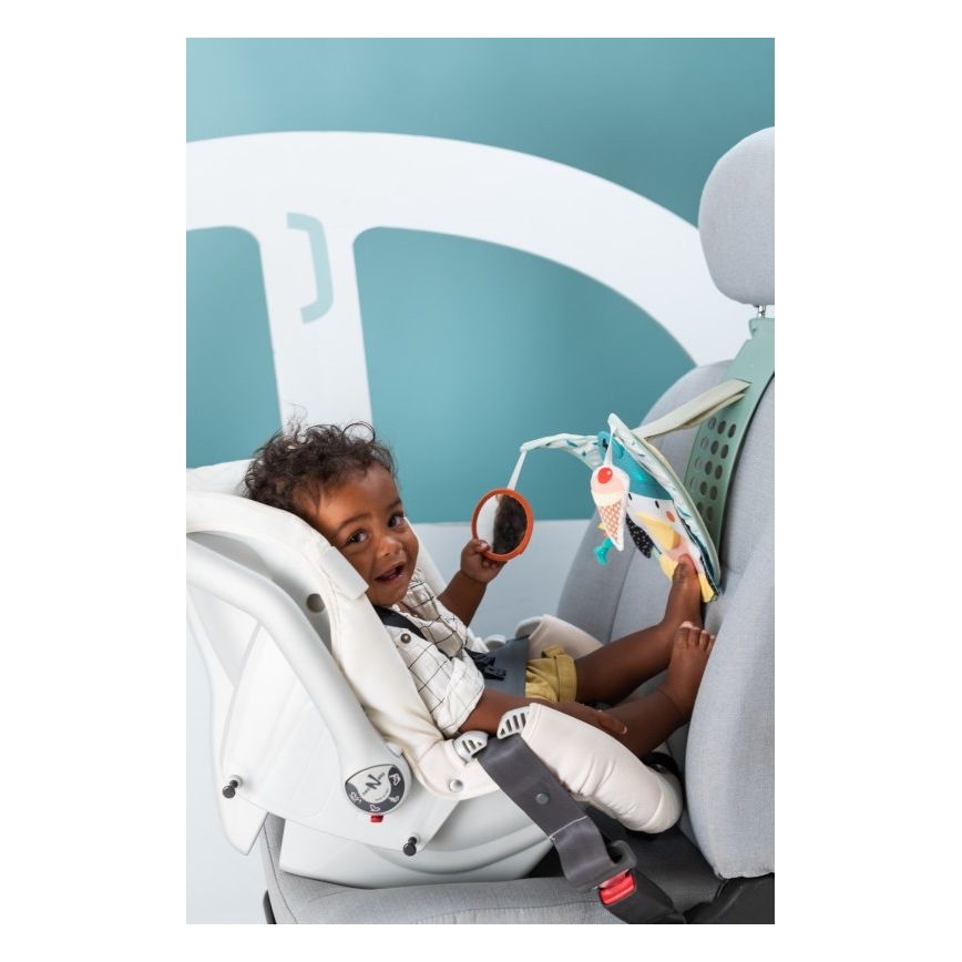 Taf Toys - Jouet voiture pingouin play & kick