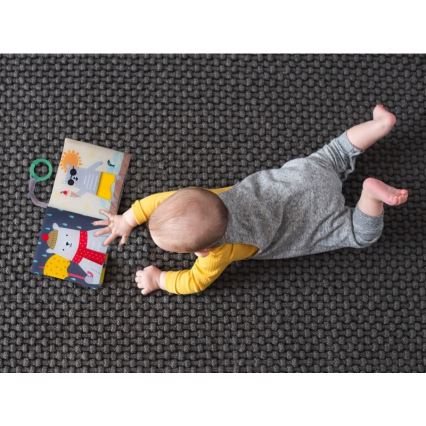 Taf Toys - Livre en textile pour enfant ourson