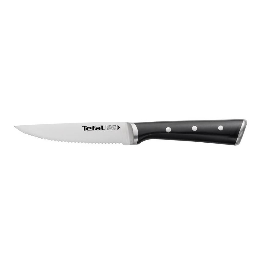 Tefal - Set van 4 roestvrijstalen steakmessen ICE FORCE 11 cm, glanzend chroom/zwart