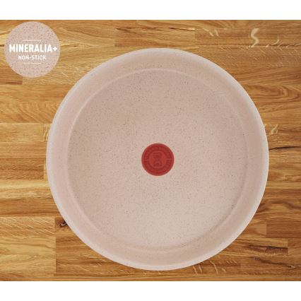 Tefal - 6-delige pannenset INGENIO DELIGHT