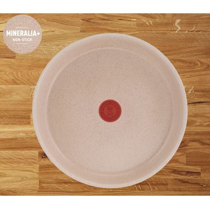 Tefal - Batterie de cuisine 6 pièces INGENIO DELIGHT