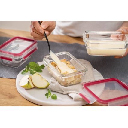 Tefal - Bewaarcontainer 1,1 l MSEAL GLASS rood/glas