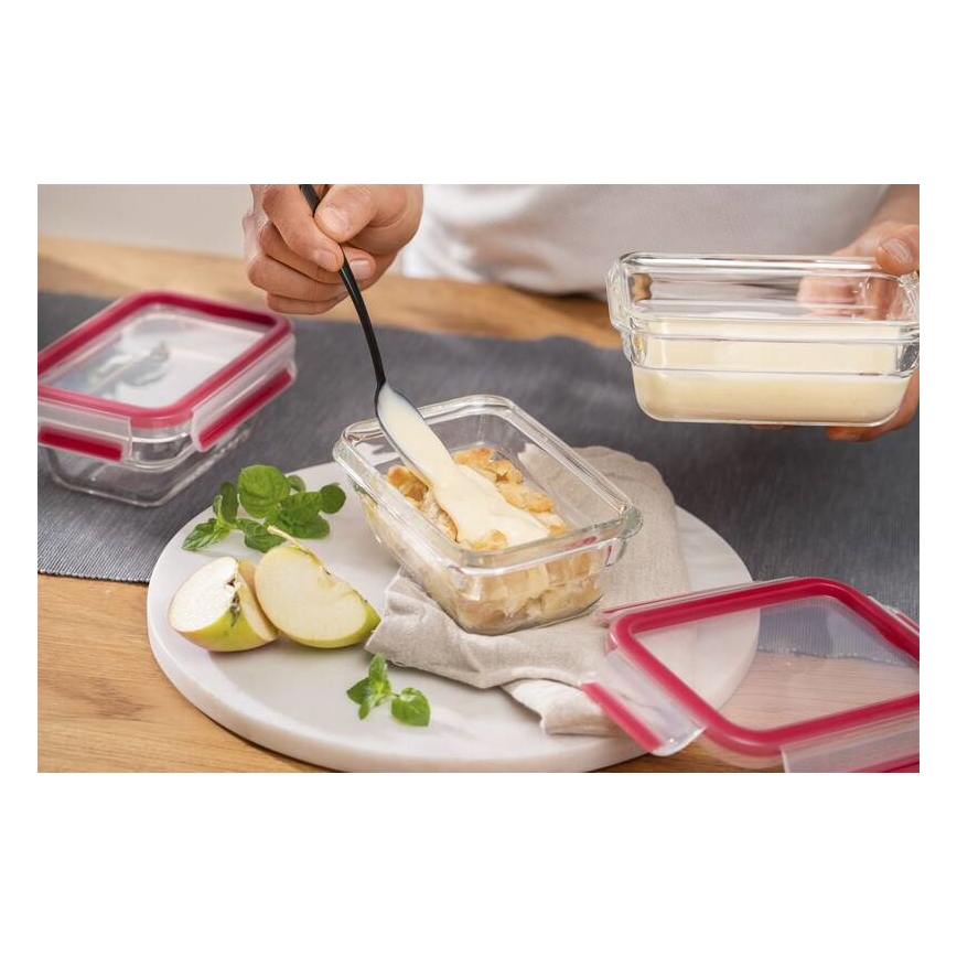 Tefal - Bewaarcontainer 1,1 l MSEAL GLASS rood/glas