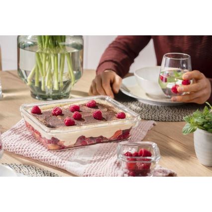 Tefal - Bewaarcontainer voor levensmiddelen 3 l MSEAL GLASS rood/glas
