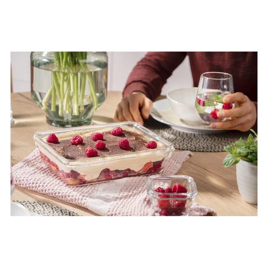 Tefal - Bewaarcontainer voor levensmiddelen 3 l MSEAL GLASS rood/glas