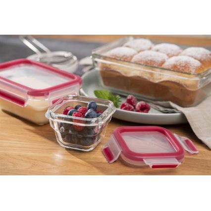 Tefal - Boîte alimentaire 0,45 l MSEAL GLASS rouge/verre