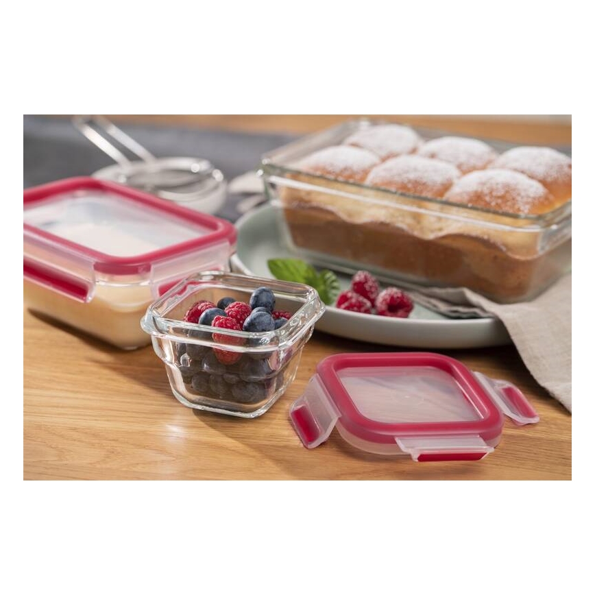 Tefal - Boîte alimentaire 0,45 l MSEAL GLASS rouge/verre