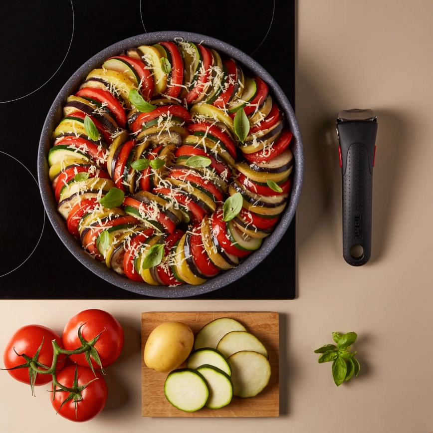 Tefal - Casserole INGENIO NATURAL FORCE 20 cm