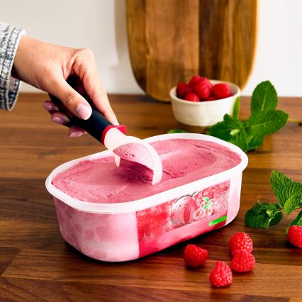 Tefal - Cuillère à glace INGENIO