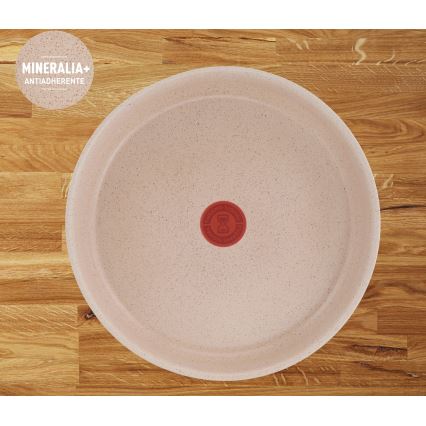 Tefal - Ensemble de 3 poêles INGENIO DELIGHT