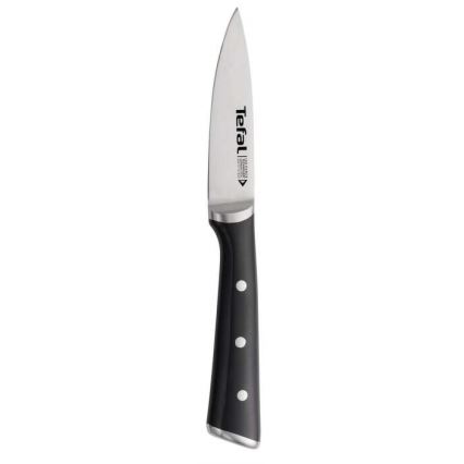 Tefal - RVS uitsteekmes ICE FORCE 9 cm glanzend chroom/zwart